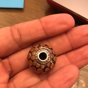 Pandora charm